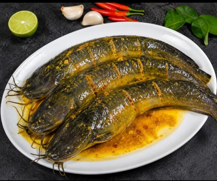 Ikan lele marinasi