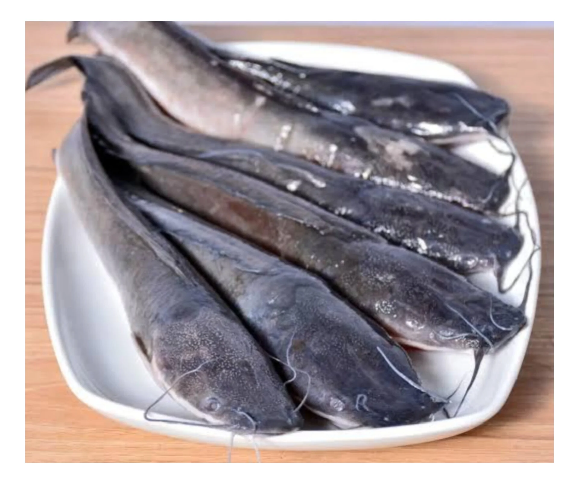 Ikan Lele Segar