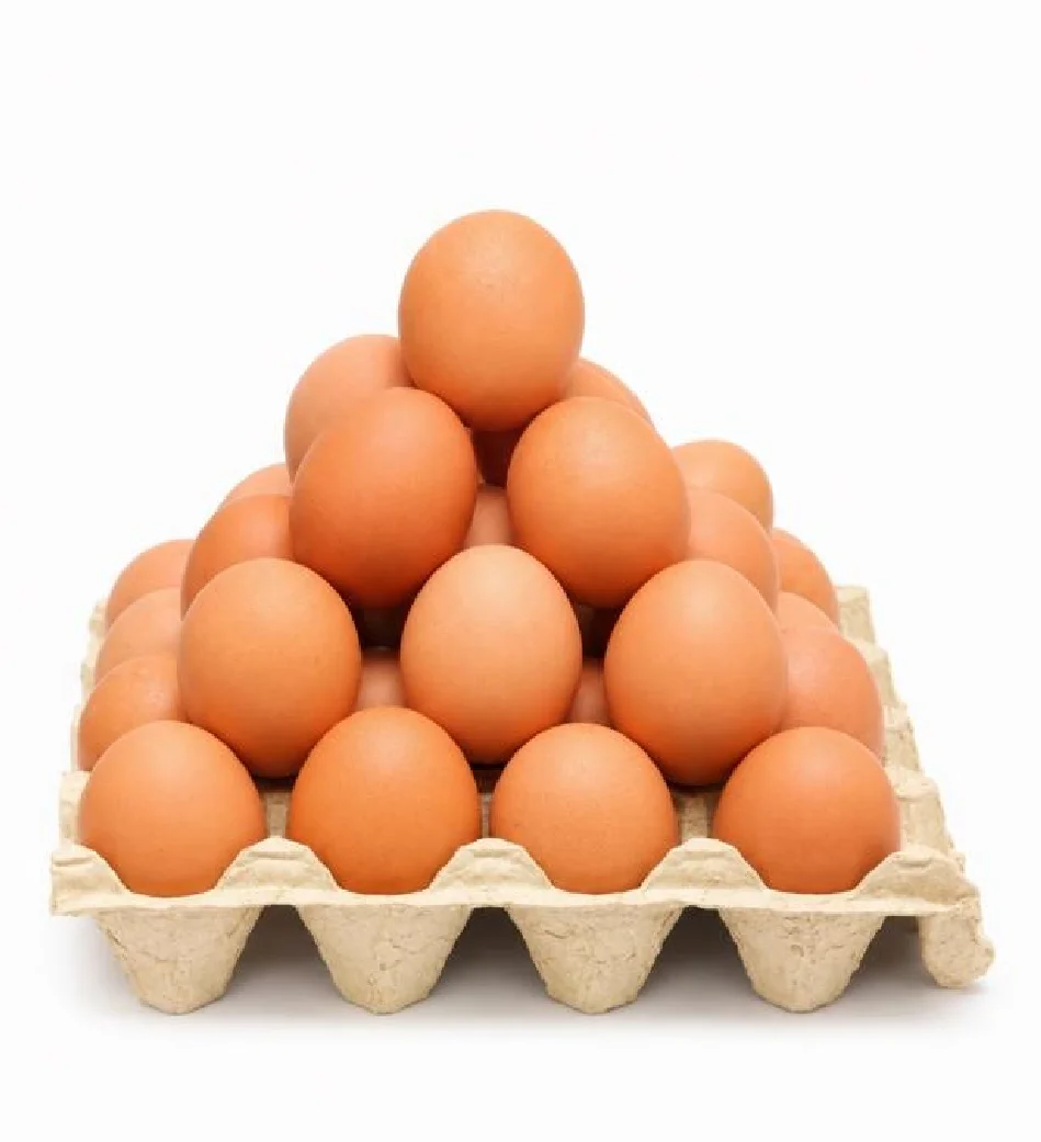 Telur Ayam Negeri